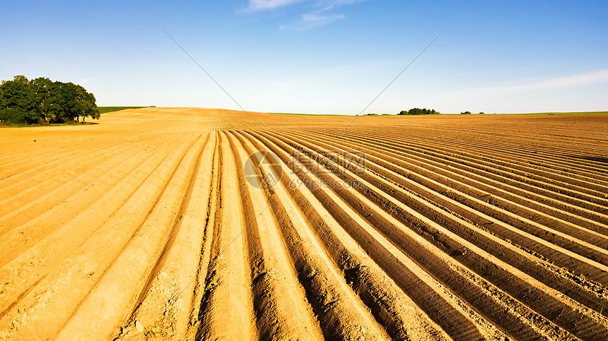 种植后的土豆田芦笋田间灌溉系统线农业白俄罗斯明斯克地区高清图片