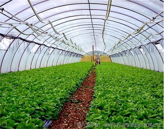 智能温室控汇智能在农业大棚种植的解决方案